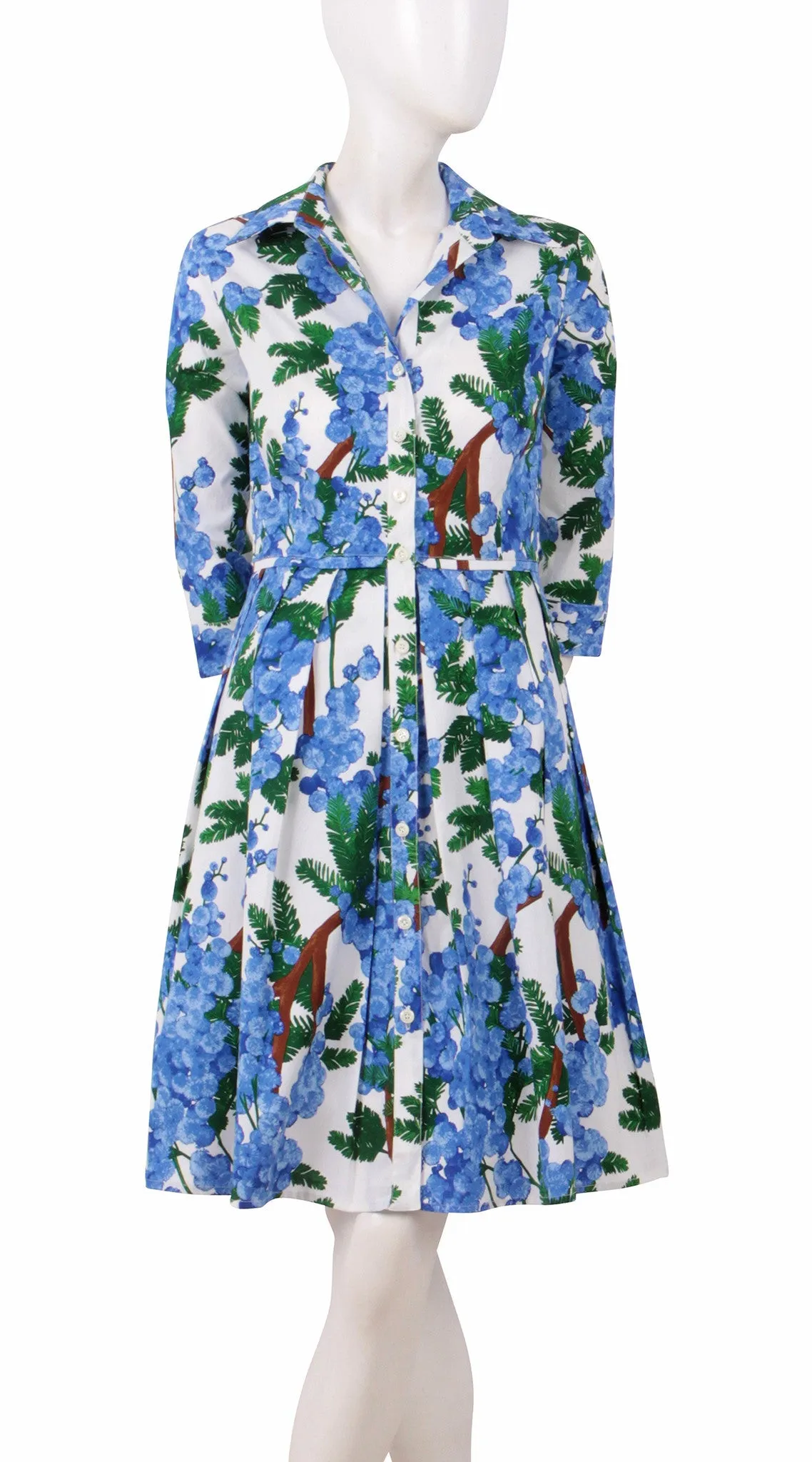 Audrey Dress Shirt Collar 3/4 Sleeve Regular Cotton Stretch (Mimosa)