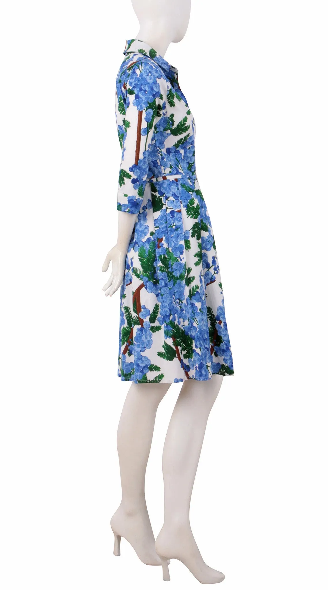 Audrey Dress Shirt Collar 3/4 Sleeve Regular Cotton Stretch (Mimosa)