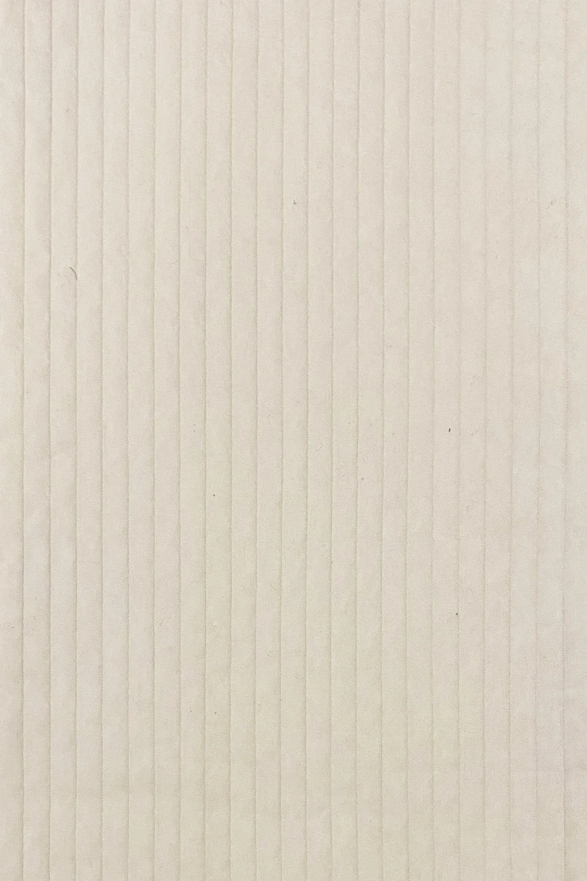 Cream Wide Wale Cotton Short